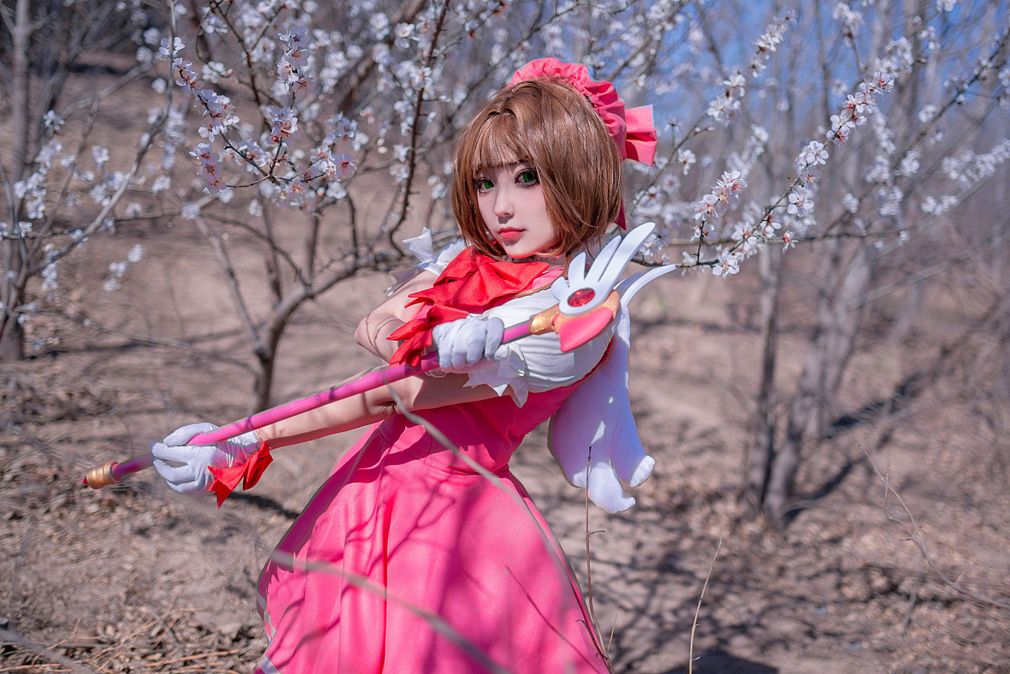木之本樱cosplay