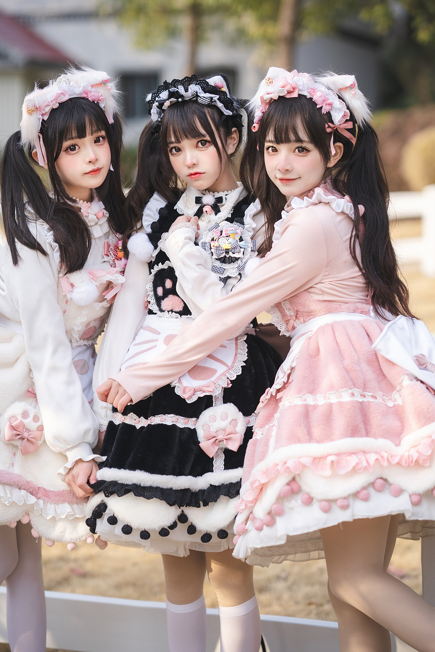 Lolita私影，超软糯的小猫咪